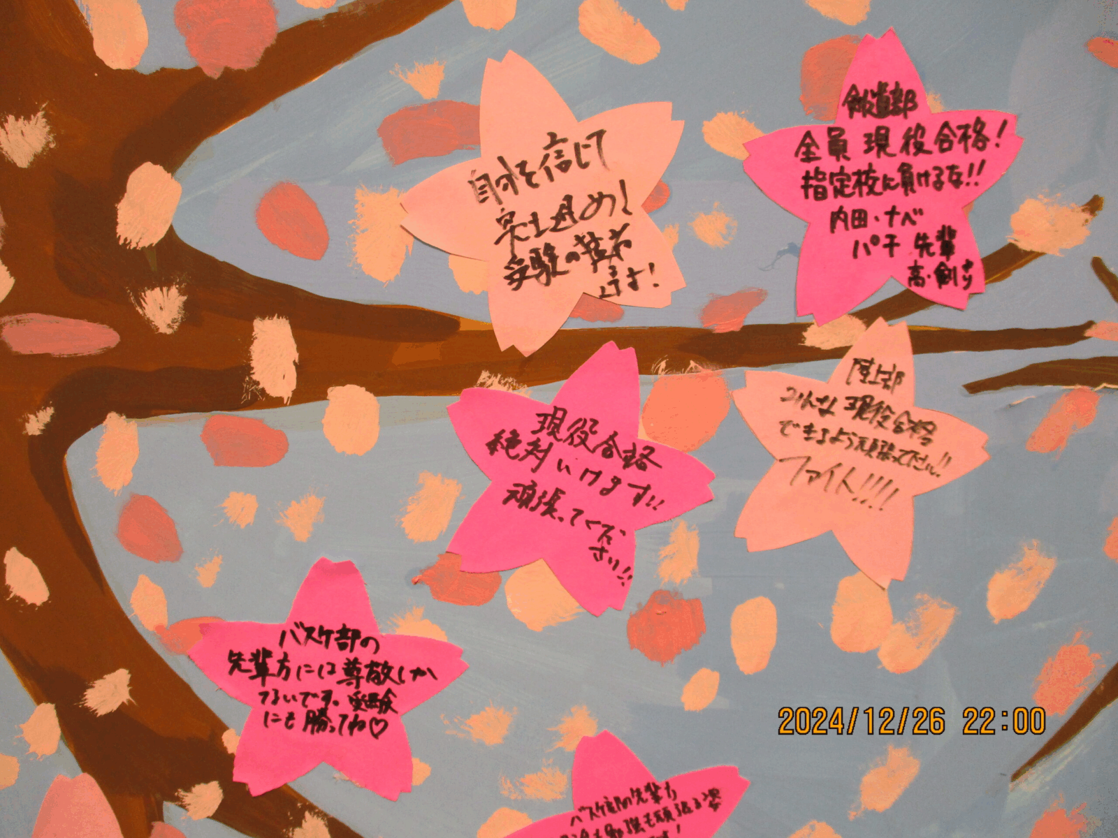 陽光学舎　応援メッセージボード　