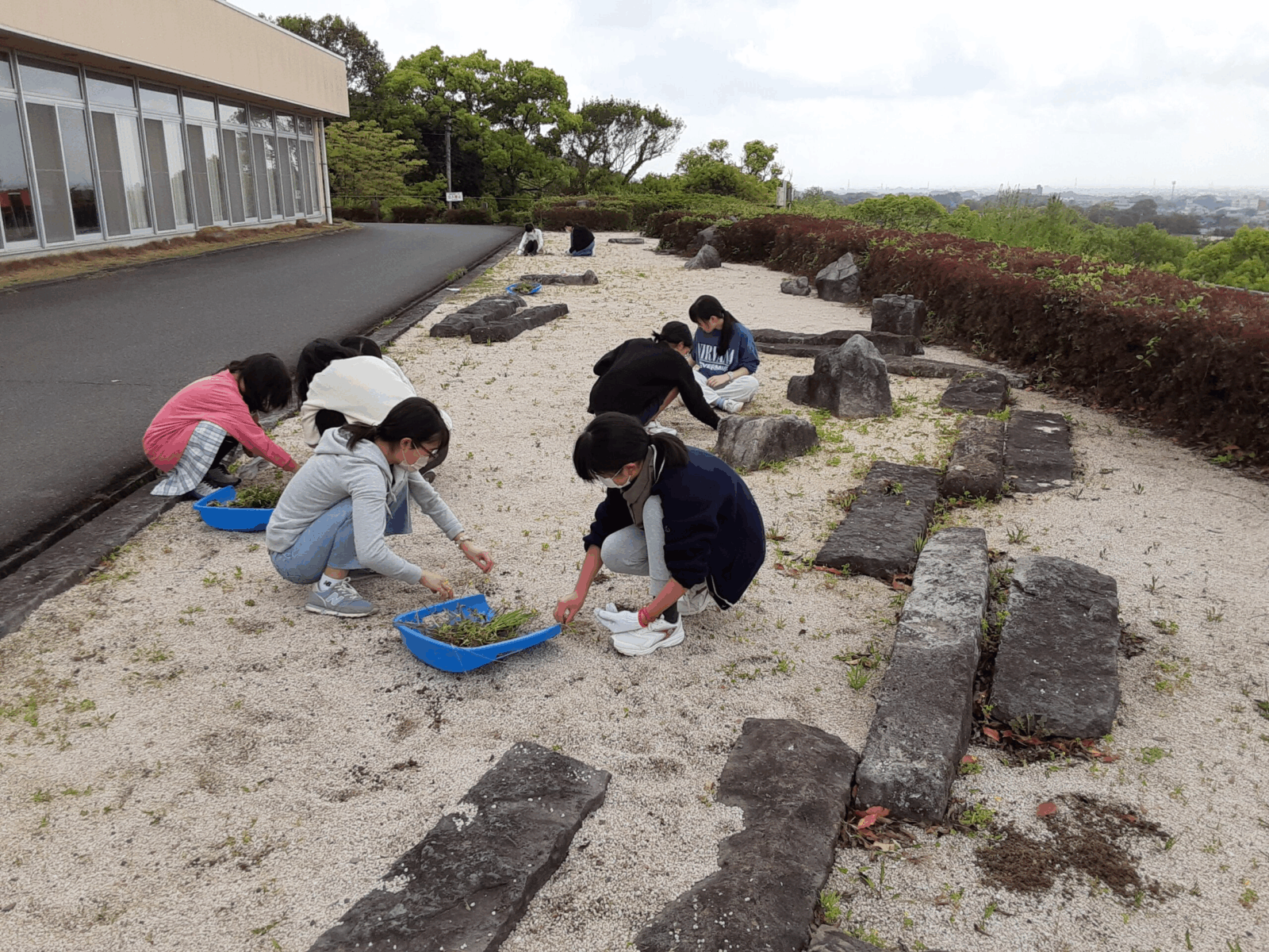 令和5年4月16日 石庭除草作業（アカデミアハウス）